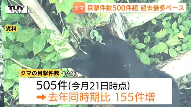 過去最多ペース…今年クマ目撃500件超 きょうもコミセン近くや線路上に出没 市街地での増加に注意(山形)|TBS NEWS DIG