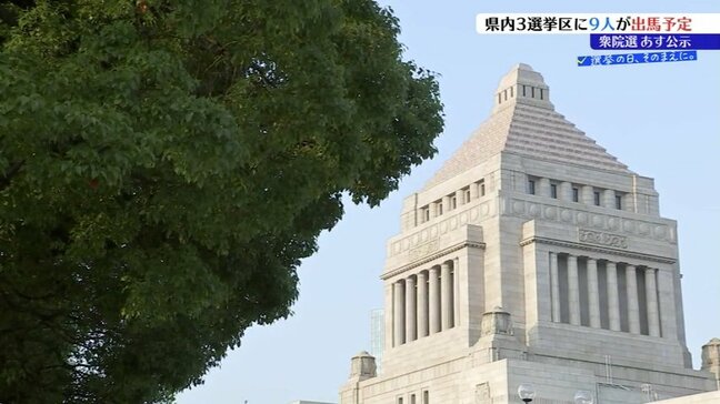 36年ぶり真冬の総選挙 岩手1区は4人が激突、2区は一騎打ち、3区は三つどもえか 27日公示 2月8日投開票へ|TBS NEWS DIG