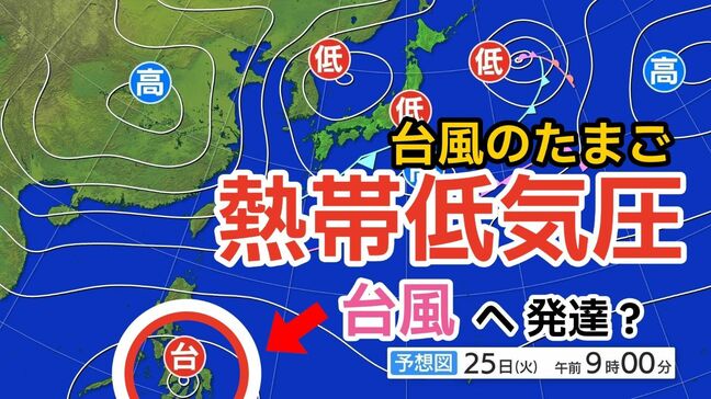 【台風情報】「台風のたまご」熱帯低気圧が発生　きょう（25日）にも台風に発達へ　今後の進路は？　全国各地の天気シミュレーション【気象庁 25日発表】	|TBS NEWS DIG