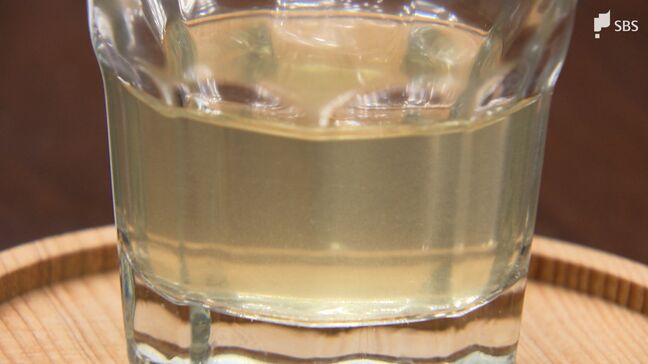 「ものすごくきれいな黄金色」静岡茶市場の初取引で“最高値”1キロ88万円の新茶を市長に贈呈 高級ブランド「高嶺の香」|TBS NEWS DIG