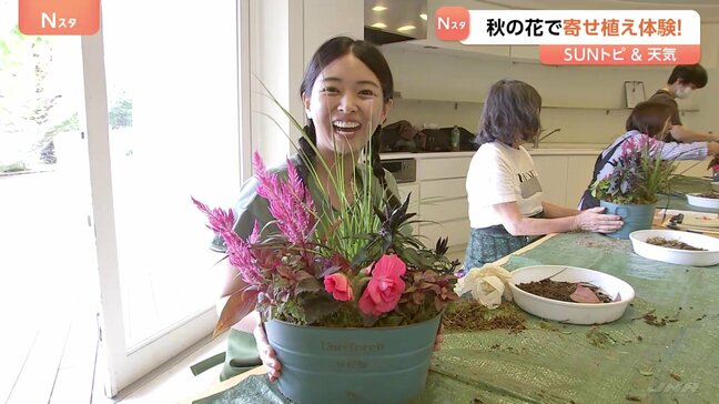 一つの鉢植えに季節の花々を自分好みに…ガーデニングの一種“寄せ植え” ポイントは？長くて2か月楽しめるものも【Sunトピ】|TBS NEWS DIG