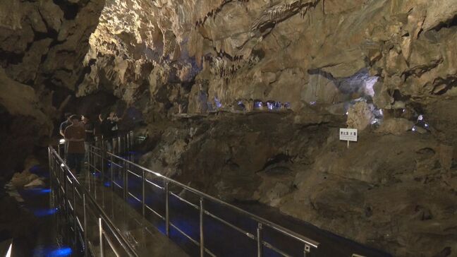 真夏でも“ひんやり”気温12度ほど…涼求め「飛騨大鍾乳洞」にぎわう　岐阜県高山市|TBS NEWS DIG