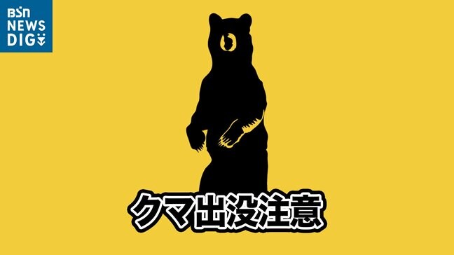 国道に4頭のクマ出没　そのうち子グマ1頭が軽乗用車に衝突　運転手はけがなし　村上市|TBS NEWS DIG