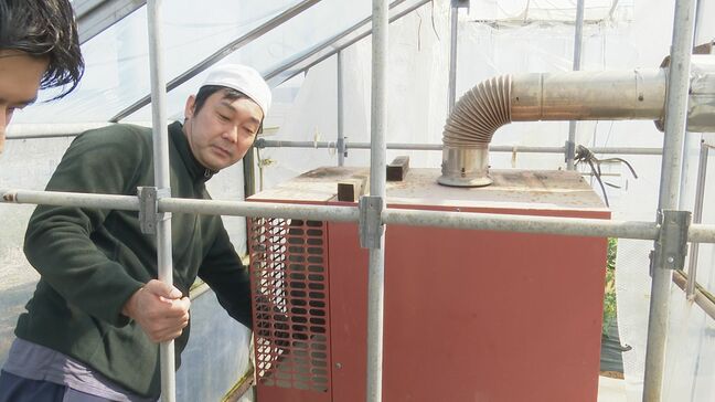 「経営的に非常に苦しい」トマト農家が明かす、人件費と燃料費のダブルパンチ 打開策見えぬ中東情勢に苦悩|TBS NEWS DIG