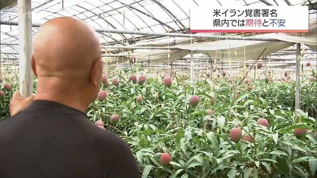 米イラン合意 宮崎県内のスーパーや農家は原油・ナフサ由来製品の価格安定に期待 一方で切実な声も|TBS NEWS DIG