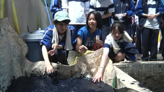 琉球藍の魅力を学ぶ　首里高校染織デザイン科の生徒たち|TBS NEWS DIG