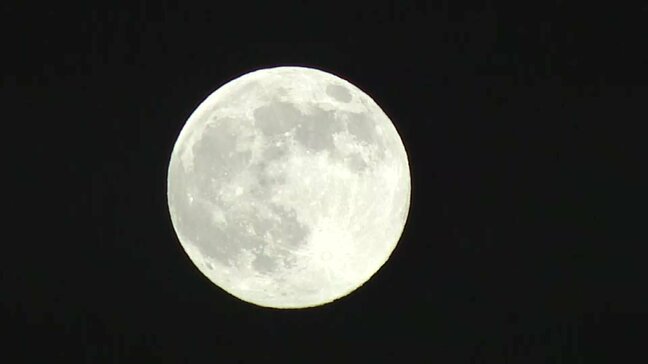 広島城を幻想的に照らす「スーパームーン」　今年１年で最も大きい満月が広島の夜を照らし|TBS NEWS DIG