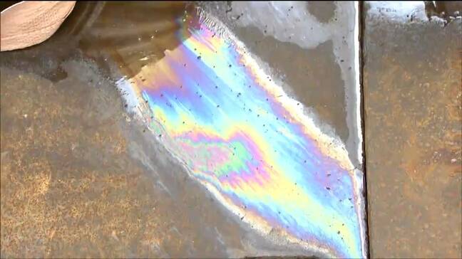 重油被害のワカメ117トン超を廃棄へ　巡視船の流出事故から2週間…今も続く水揚げ作業　宮城・塩釜市|TBS NEWS DIG
