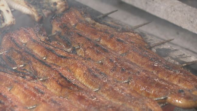 「とりあえず現状維持できる…」ワシントン条約の規制“否決”でうなぎ料理店一安心も 備長炭やコメの価格上昇などで苦境続く|TBS NEWS DIG