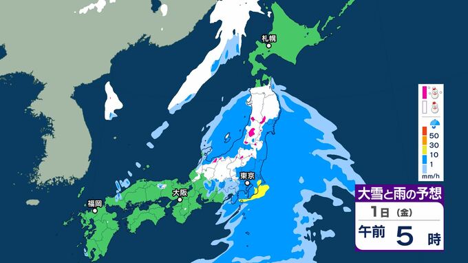 関東北部・甲信地方では3月1日にかけ「大雪」のおそれ　警報級となる可能性も　南岸低気圧が発達しながら関東の東に達する見込み|TBS NEWS DIG