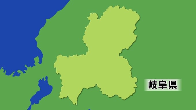 登山道などを走るマラソン大会に、キイロスズメバチが襲来し42人が刺される　　岐阜・高山市|TBS NEWS DIG