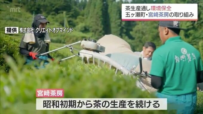 農薬に頼らない有機栽培で水源地の土壌・水質の保全に取り組む　五ヶ瀬町「宮﨑茶房」　|　MRTニュース ｜ ＭＲＴ宮崎放送