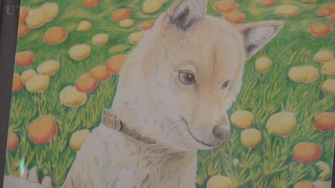 県の障害者文化展で入賞した男性　初の色鉛筆画の作品展開催　温かみあるタッチの作品20点並ぶ　|　山梨のニュース | ＵＴＹテレビ山梨
