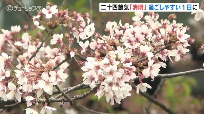 きょうは二十四節気「清明」　富山県内はあいにくの曇り空　|　富山のニュース｜天気・防災｜チューリップテレビ