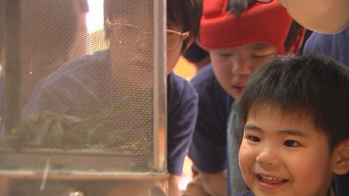 70年以上続く交流行事「友情の蛍」今年も大分県竹田市の小学生がホタル222匹を贈る|TBS NEWS DIG