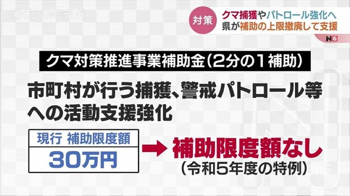 富山県がクマ対策の補助金　３０万円上限に費用の2分の１補助　新田知事「１２月上旬まで厳重な警戒を」|TBS NEWS DIG
