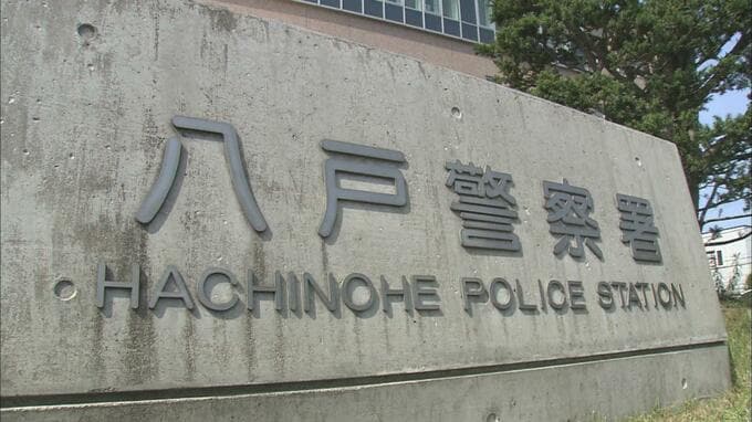 国道の橋脚に軽ワゴン車が正面衝突　運転手の岩手県の男性（46）が死亡　青森・八戸市　|TBS NEWS DIG