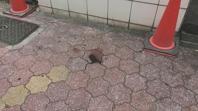 【速報】集合住宅から転落し歩行者の女性を巻き込み死亡させた疑い  29歳男を重過失致死の疑いで逮捕 名古屋･中区|TBS NEWS DIG