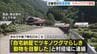 近畿初「クマ緊急銃猟」住民から連絡受け確認→警察など協議し村が実施決定→麻酔銃を撃ち捕獲後に殺処分　奈良・東吉野村　|　MBSニュース | 関西の最新ニュースを分かりやすく。