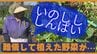 イノシシが葉野菜食い荒らす うるま市の農園に出没　|　沖縄のニュース｜RBC 琉球放送