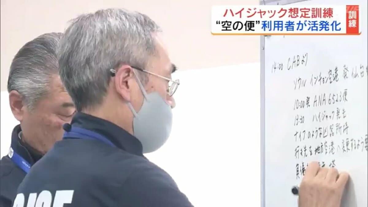 Ana ハイ ジャック (96) 사진