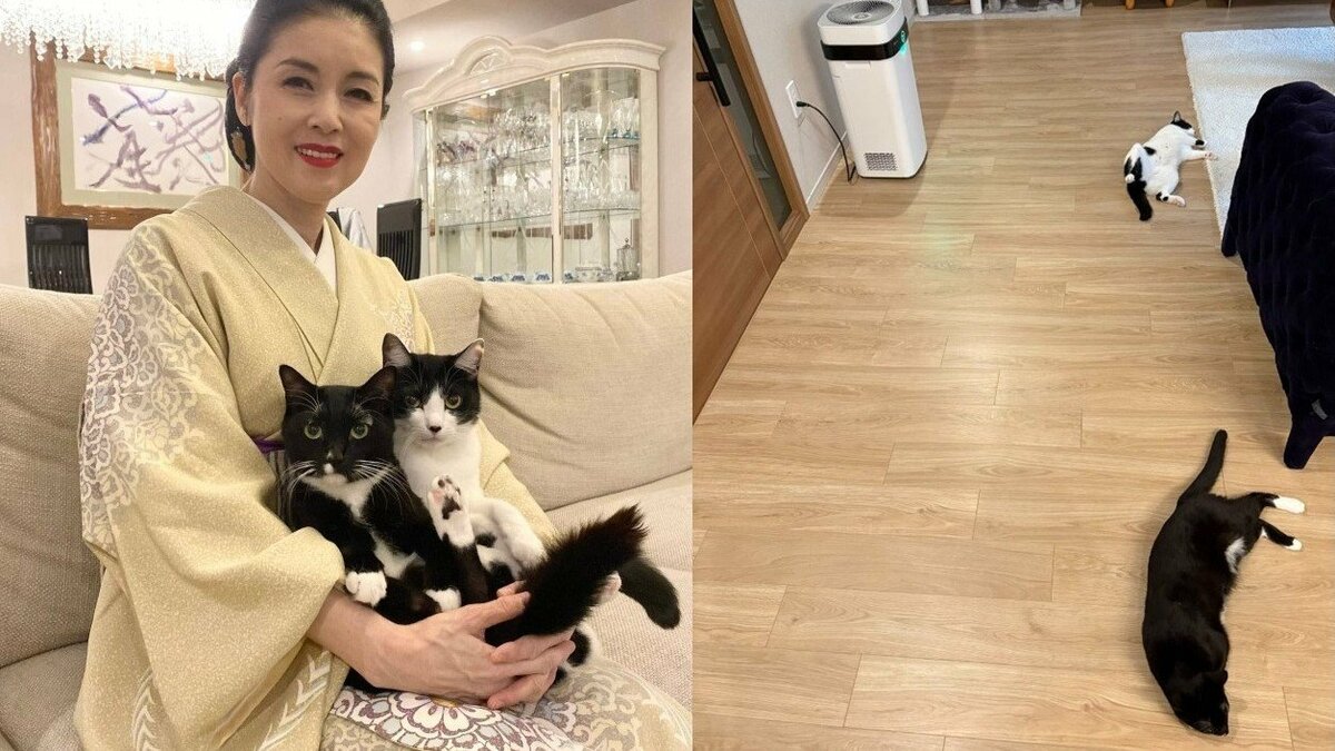 藤あや子 】愛猫オレオが “ヘソ天ぱぁ” 「床暖つきました」で猫たち