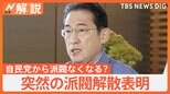 岸田総理 突然の派閥解散表明、二階派も解散決定、自民党から派閥なくなる? 裏金問題の行方【Nスタ解説】|TBS NEWS DIG