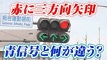 「青信号と何が違う?」赤に三方向矢印 信号機のナゾ 青が永遠に出ない場所も…その理由を探ってみた|TBS NEWS DIG
