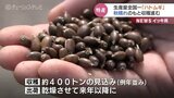 ハトムギの収穫が最盛期 例年並みの約400トンの収穫見込む 富山・小矢部市|TBS NEWS DIG