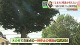 突然標識が現れる!? 交通事故が起きた危険な交差点 調査員が現場に向かうと…驚きの事実が | 北海道のニュース|HBC北海道放送