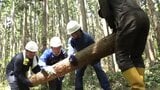 間伐材の運び出しや植林活動通じ二酸化炭素55トン吸収につなげる もりしん共存同栄の森保全活動 岩手・紫波町|TBS NEWS DIG
