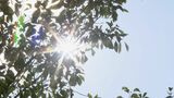 9月なのに最高気温38.2℃ 15年ぶりに記録更新の名古屋 容赦ない日差しにぐったり 引き続き「猛烈な暑さ」への対策を | 名古屋・愛知・岐阜・三重のニュース【CBC news】 | CBC web
