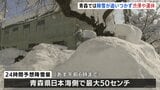 青森で“40年ぶり積雪150センチ”、各地で渋滞・運休多発 1月として 県が豪雪対策本部設置 あす朝までに最大50センチの降雪予想|TBS NEWS DIG
