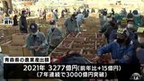 2021年青森県農業産出額 4年連続全国7位 果実・畜産は過去最高|TBS NEWS DIG