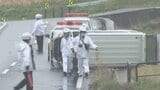 車同士が衝突、軽乗用車1台が横転　運転の女性が負傷　山梨・北杜市|TBS NEWS DIG