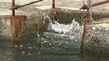 台風15号から変わった熱帯低気圧の接近と大潮の時期が重なる　12日昼過ぎから13日未明にかけて高松地域や中讃で高潮に厳重に警戒を【気象台】|TBS NEWS DIG