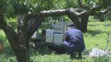 去年は5人死亡 トラクターなど農作業中の事故 建設業の2倍弱の水準 県など注意呼びかけ 山梨|TBS NEWS DIG