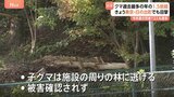 東京でもクマ目撃 日の出町のごみ処理施設付近の林に逃げたか　今年度のツキノワグマ出没件数“1.5倍増加”|TBS NEWS DIG