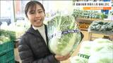野菜で価格が下がったのは「ハクサイが500円→200円」時期ずれ入荷はホウレンソウ・小松菜　猛暑の影響はどうなったのか|TBS NEWS DIG