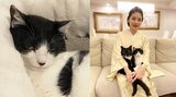 【ねこ】藤あや子さんの愛猫が猫ベッドでセクシー流し目 “どこでそんな表情覚えた!?” フォロワー「あや子さんを見てだと思います」|TBS NEWS DIG