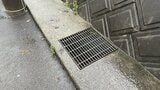 「側溝の中で声がする」小学生男児が側溝に落ちて流され、住民が救助 鹿児島市田上|TBS NEWS DIG