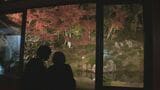 鳥取藩主・池田家の菩提寺として栄え…「興禅寺」庭園の紅葉ライトアップ　|　BSSニュース | BSS山陰放送