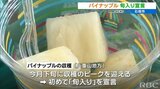 沖縄県産パインの"旬入り"宣言 石垣島 | 沖縄のニュース|RBC 琉球放送