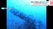 沈没寸前、艦長は最期に「自分をマストにくくれ！」と言い遺し…348人の魂と水深100mへ沈んだ軍艦「長良」82年ぶりに捉えた姿　|　高知のニュース・天気｜KUTV NEWS | KUTVテレビ高知