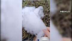 まさかのニセモノ　雪景色がウリの観光地　肝心の雪「実は綿」 気温が高く「春節」の連休までに雪積もらず　中国・四川省| TBS CROSS DIG with Bloomberg