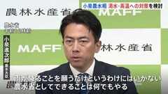 小泉農水大臣「雨が降ることを願うだけにはいかない」　記録的猛暑や水不足でコメの収穫への影響懸念　対策強化へ| TBS CROSS DIG with Bloomberg