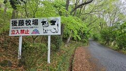 「牛にぶつかって心肺停止状態」と通報　21歳の外国人技能実習生が死亡　大分|TBS NEWS DIG