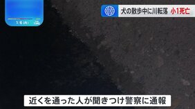 犬の散歩をしていた小学1年生の女の子（7）が川に転落し流され、死亡　山梨・甲斐市|TBS NEWS DIG