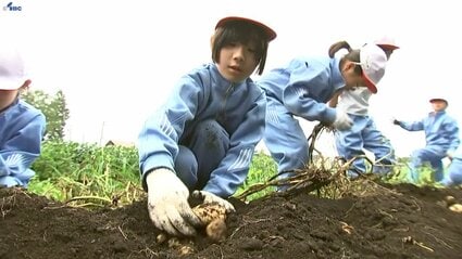 小学生が農業体験学習でジャガイモと枝豆の収穫を体験 盛岡市 | TBS