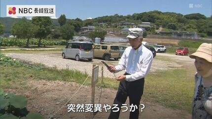 見つけたら幸運が訪れる！？50年に1度ともいわれる珍しい「双頭蓮